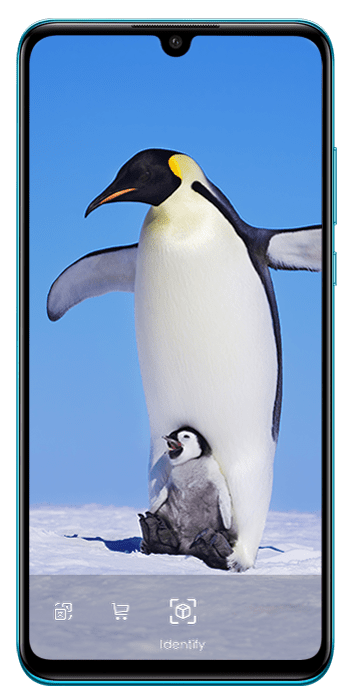 Смартфон Huawei P30 Lite 41 image