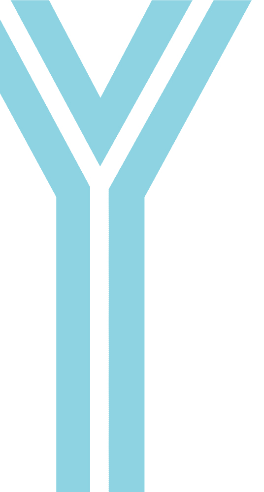 logo y