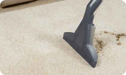 Широка миюча насадка для килимів із адаптером для твердих покриттів